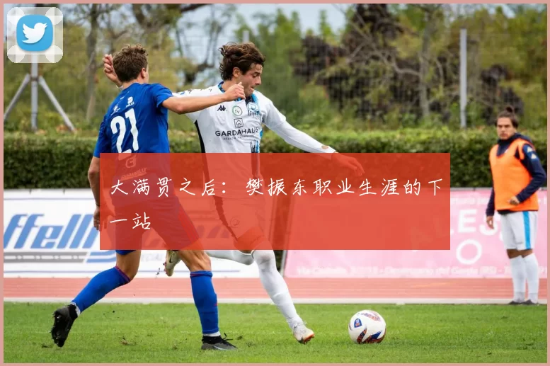 大满贯之后：樊振东职业生涯的下一站
