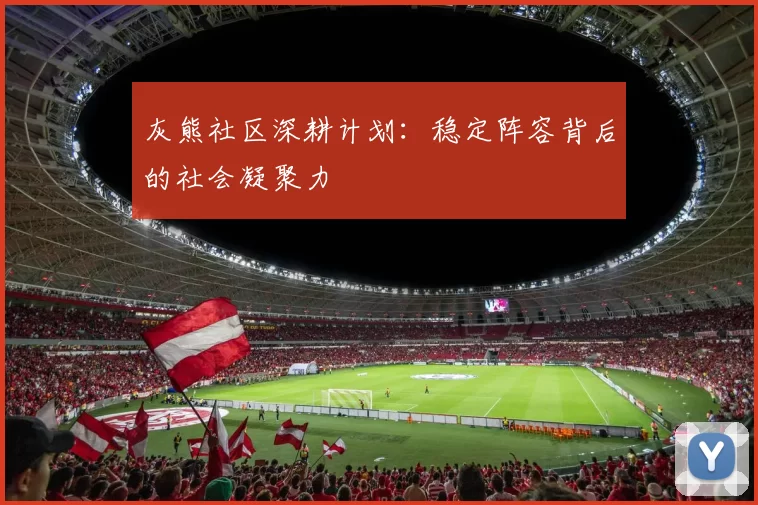 灰熊社区深耕计划：稳定阵容背后的社会凝聚力