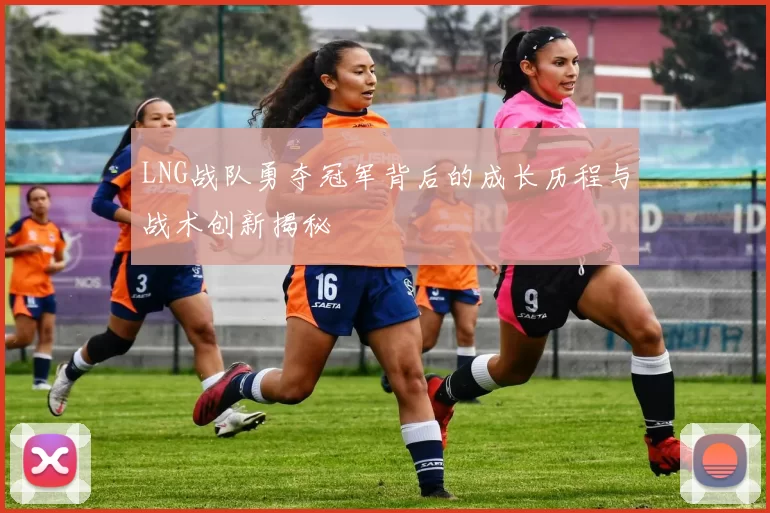 LNG战队勇夺冠军背后的成长历程与战术创新揭秘