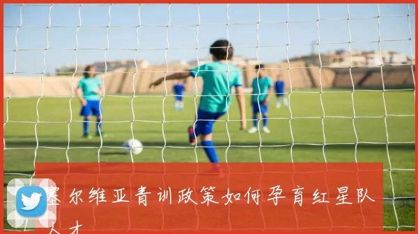 塞尔维亚青训政策如何孕育红星队人才