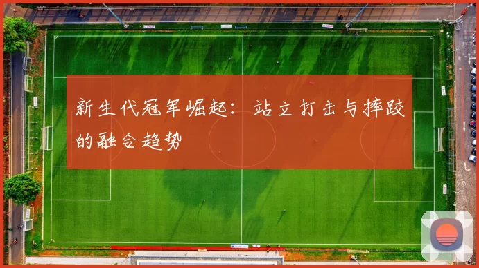 新生代冠军崛起：站立打击与摔跤的融合趋势
