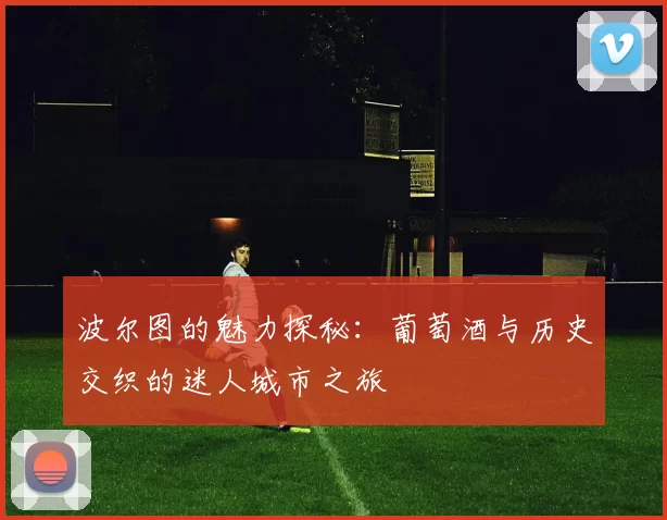 波尔图的魅力探秘：葡萄酒与历史交织的迷人城市之旅