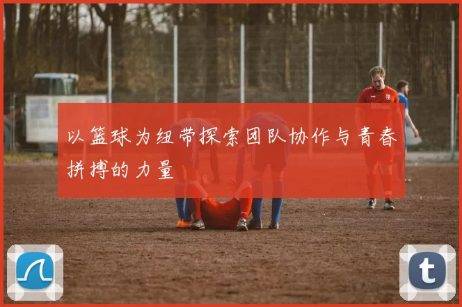 以篮球为纽带探索团队协作与青春拼搏的力量