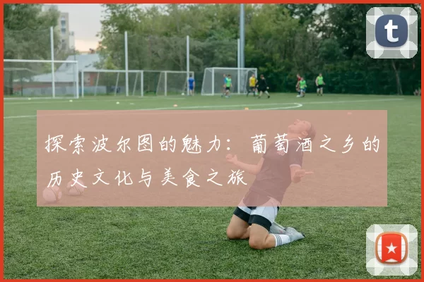 探索波尔图的魅力：葡萄酒之乡的历史文化与美食之旅