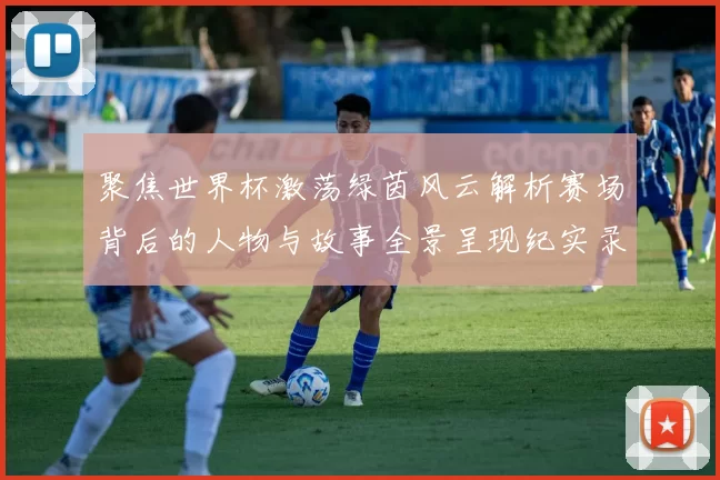 聚焦世界杯激荡绿茵风云解析赛场背后的人物与故事全景呈现纪实录